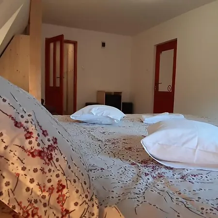 Casa Camelia Sovata