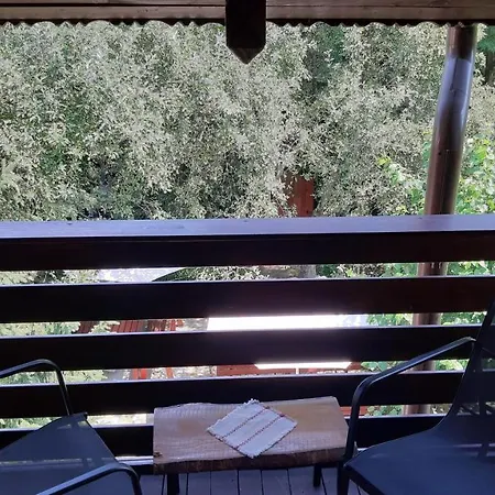 Casa Camelia 3*