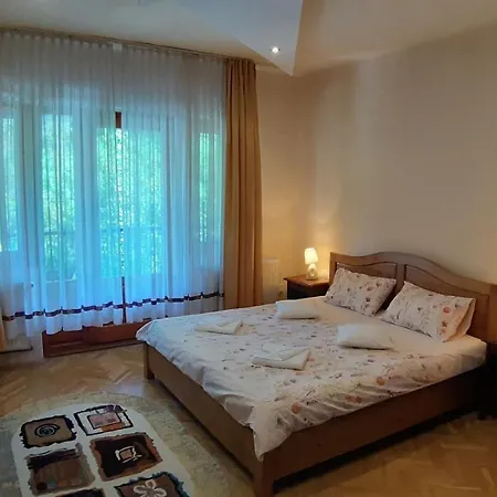 Casa Camelia Guest house Sovata