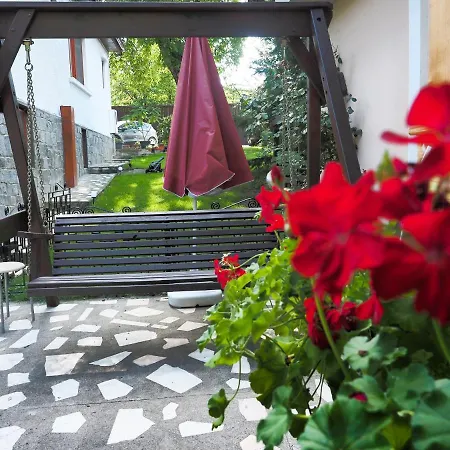 Casa Camelia Guest house Sovata