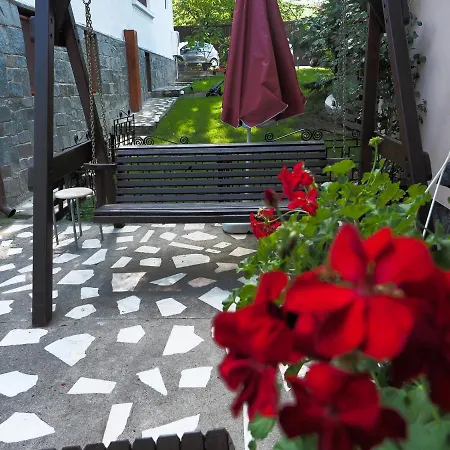 Guest house Casa Camelia 3*