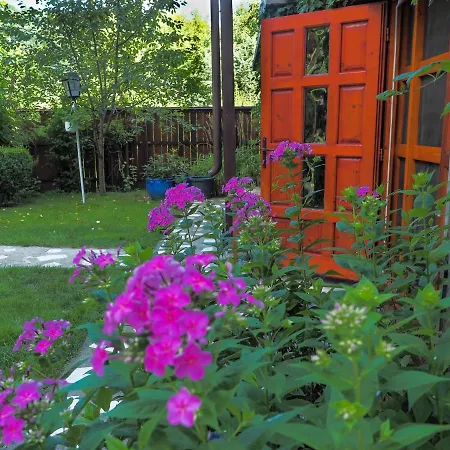 Casa Camelia 3* Sovata