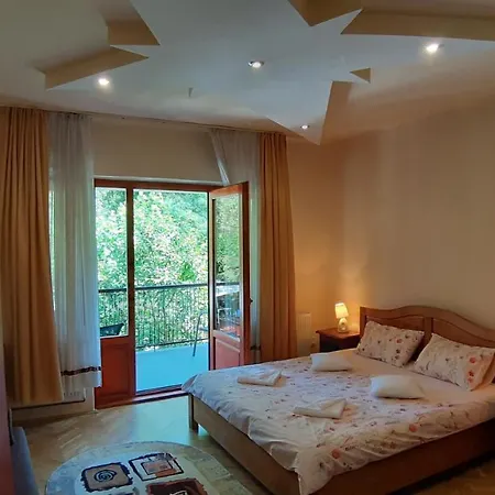 Casa Camelia Konukevi Sovata