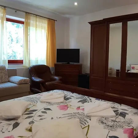 Casa Camelia Konukevi Sovata