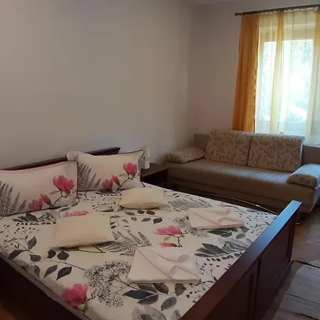 Guest house Casa Camelia 3*