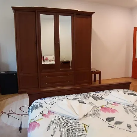 Guest house Casa Camelia Sovata