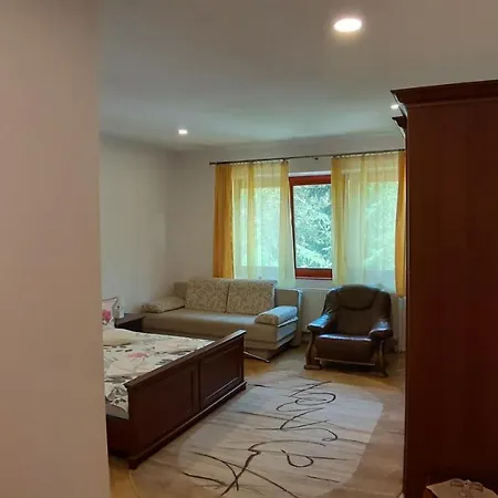 Casa Camelia 3* Sovata