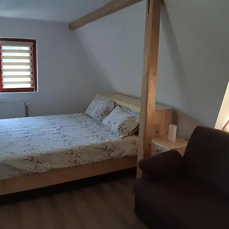 Konukevi Casa Camelia Sovata