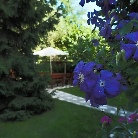 Gæstehus Casa Camelia
