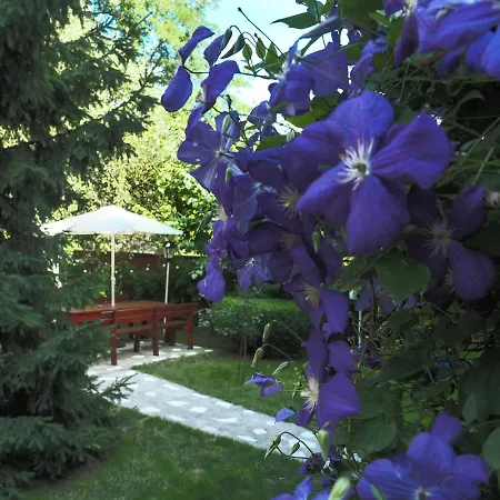 Guest house Casa Camelia 3*