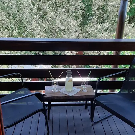 Casa Camelia 3* Sovata