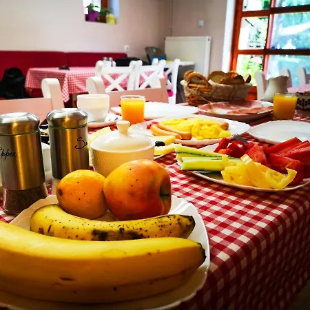 Casa Camelia Guest house Sovata