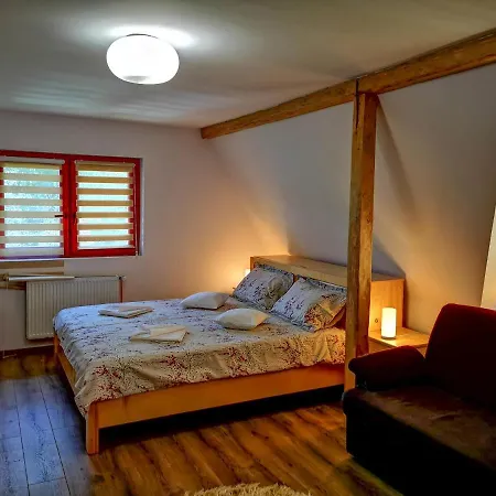 Casa Camelia Sovata