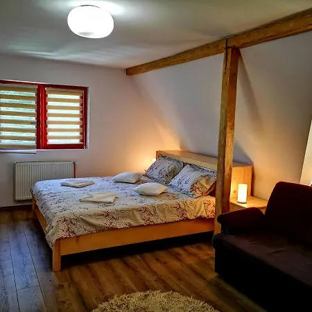 Casa Camelia 3* Sovata