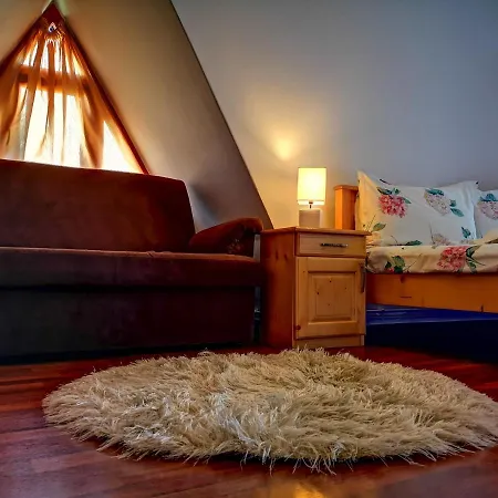 Guest house Casa Camelia 3*