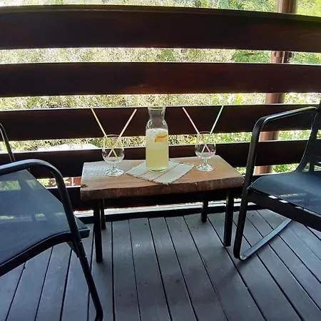 Guest house Casa Camelia 3*