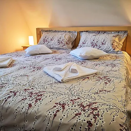 Casa Camelia Guest house Sovata