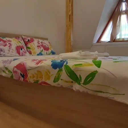Casa Camelia Guest house 3*