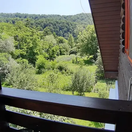 Casa Camelia 3* Sovata