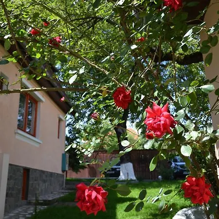 Casa Camelia 3* Sovata